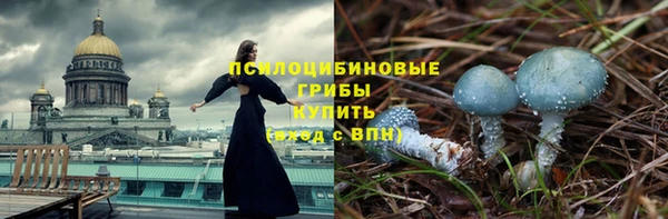 jwh Белокуриха