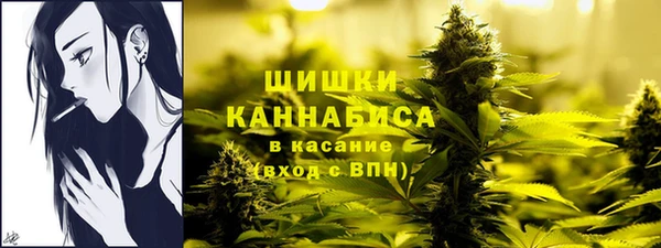 мескалин Богданович
