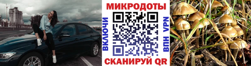 Галлюциногенные грибы GOLDEN TEACHER Макаров